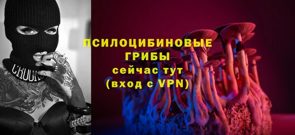 дмт Осинники