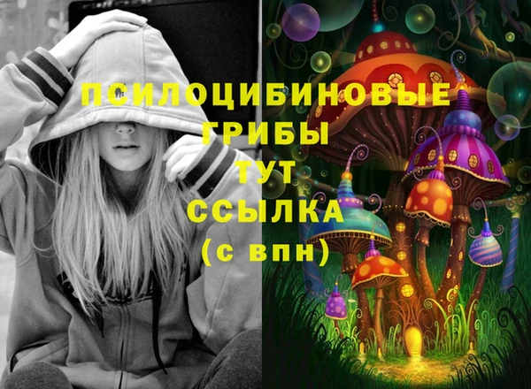 прущая мука Арсеньев